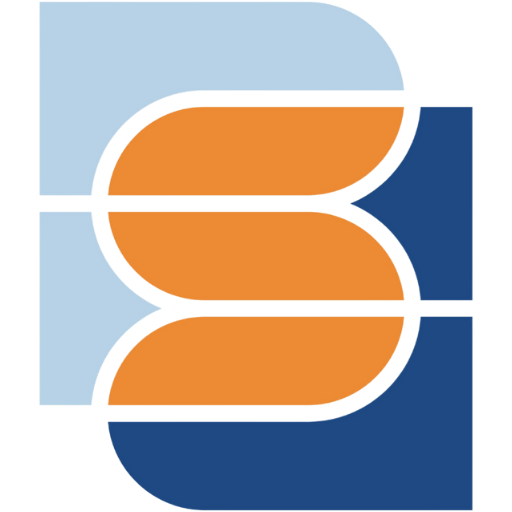 bsb large favicon